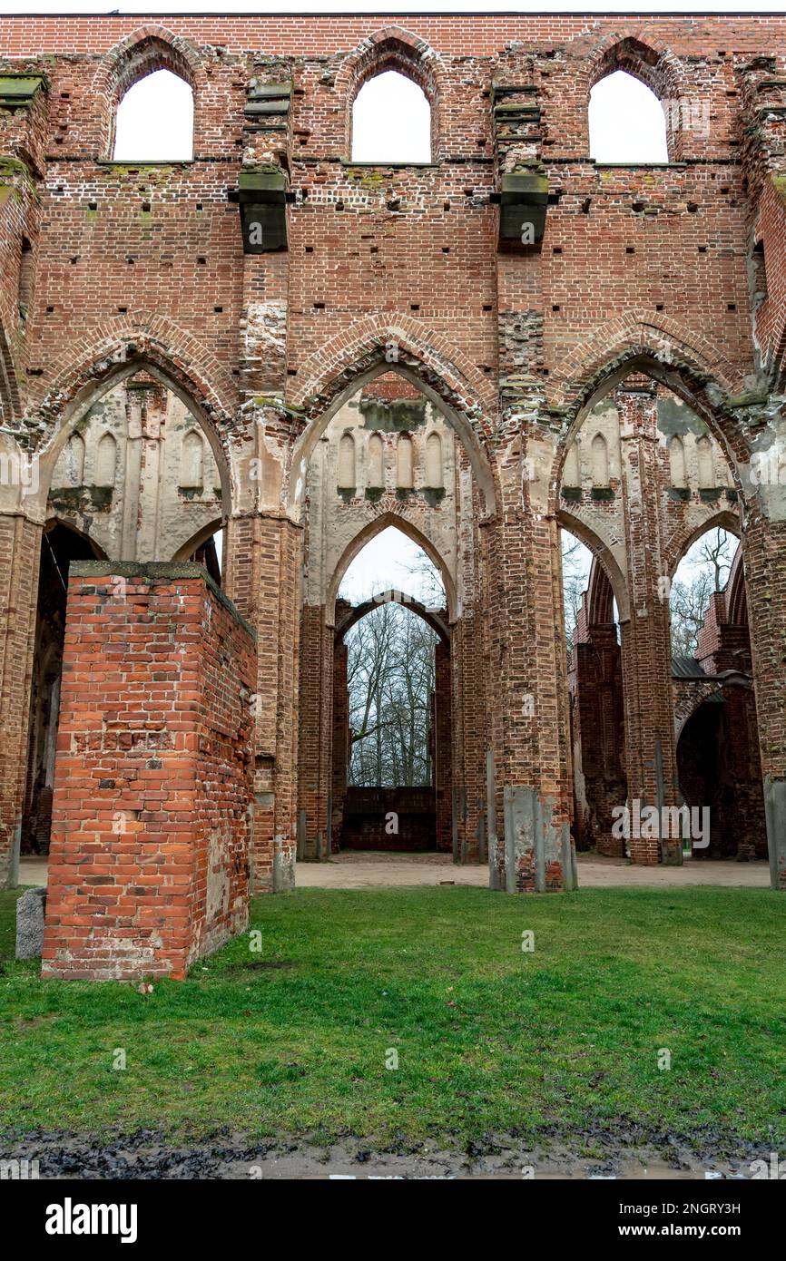 Blick auf die Ruinen der Kathedrale von Tartu. Dies ist die wichtigste Sehenswürdigkeit in Tartu. Bogengänge der riesigen gotischen Kuppelkirche in Tartu. Stockfoto