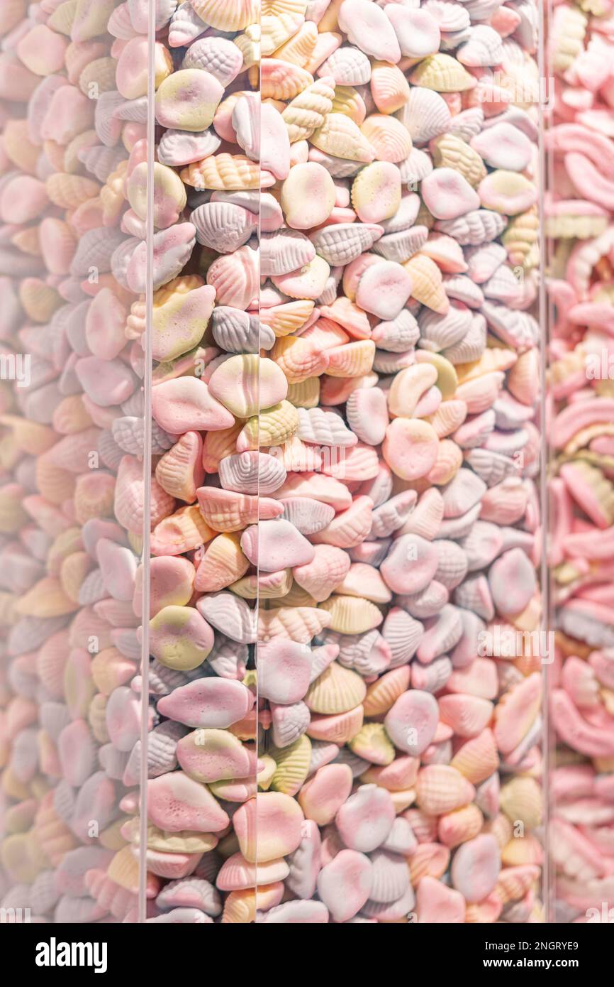 Muscheln und Süßigkeiten aus Gummi Stockfoto