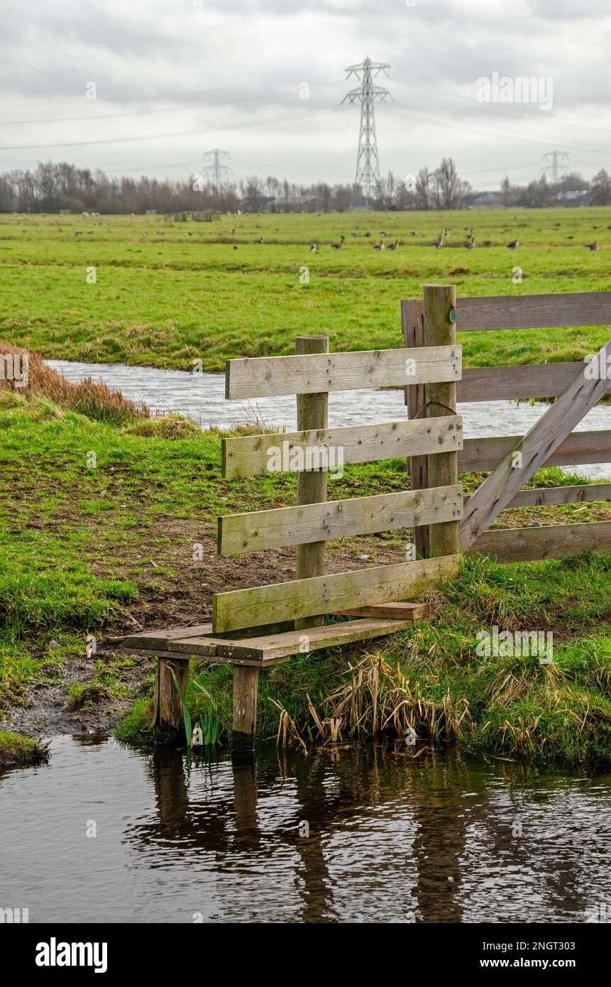Holländische Polderlandschaft in der Region Krimpenerwaard bei Gouda, Niederlande, mit einem Holzzaun und einer kleinen Seitenplattform zum Überqueren Stockfoto