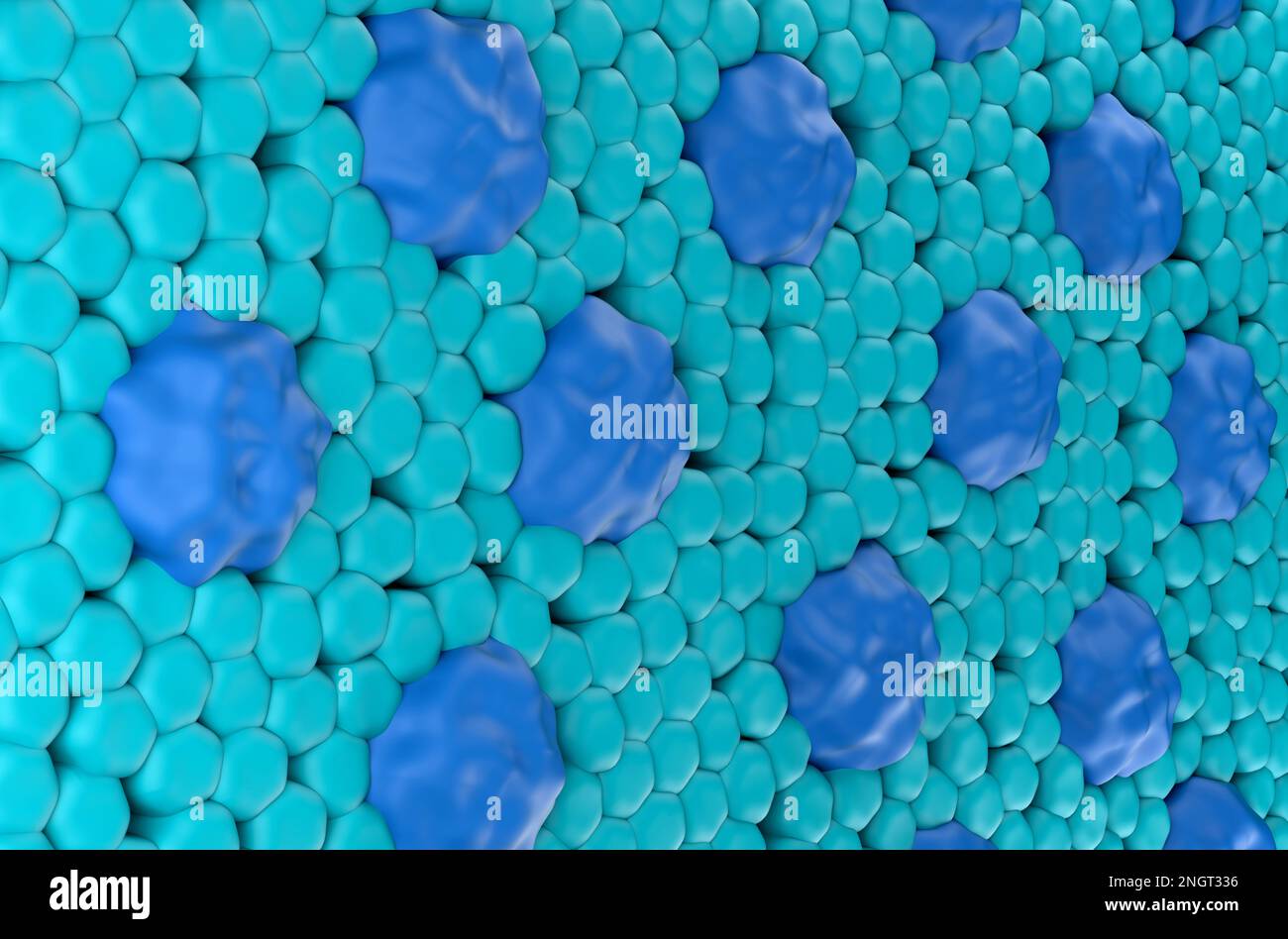 Netzhautoberfläche (Kegel und Stäbe) in der isometrischen 3D-Darstellung des menschlichen Auges Stockfoto
