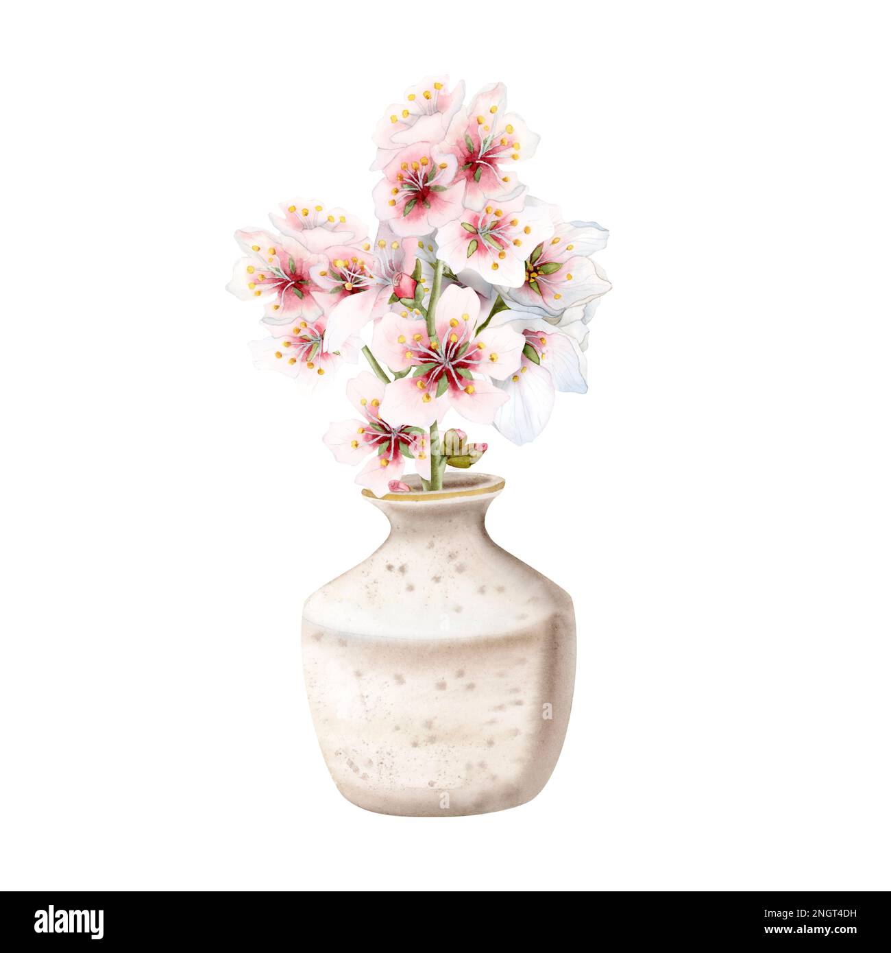 Aquarell blühende Zweige rosafarbener Frühlingsblumen in beigefarbener Keramikvase auf weißem Hintergrund. Blumenzusammensetzung mit Mandel-, Kirsch-, Pflaumenblüten Stockfoto