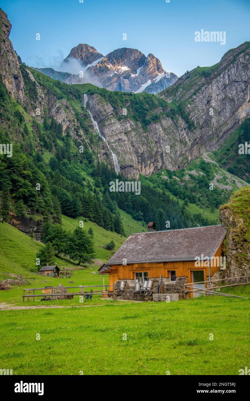 Berge, alpen, Wiesen, Bäume, schweiz, schweizer, typisch, Wasser, Wald, Bach, Hoch, Wandern, malerisch, Aussicht, Luftaufnahme, vale, Wasserfall, Kuh, Flowe Stockfoto