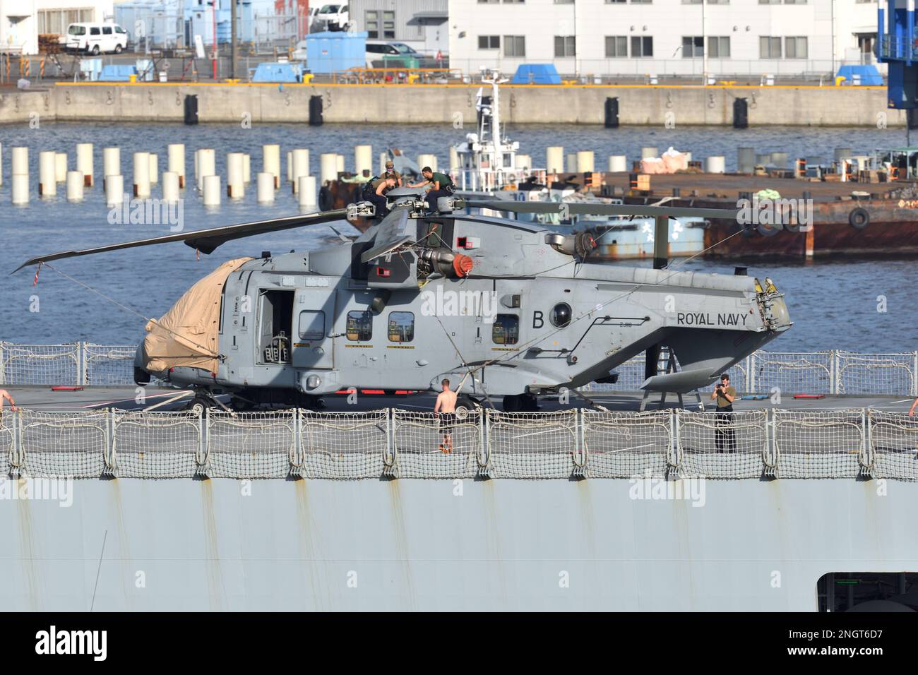 Präfektur Kanagawa, Japan - 23. August 2021: Royal Navy AgustaWestland Merlin HC4 Utility Helicopter wird gewartet. Stockfoto