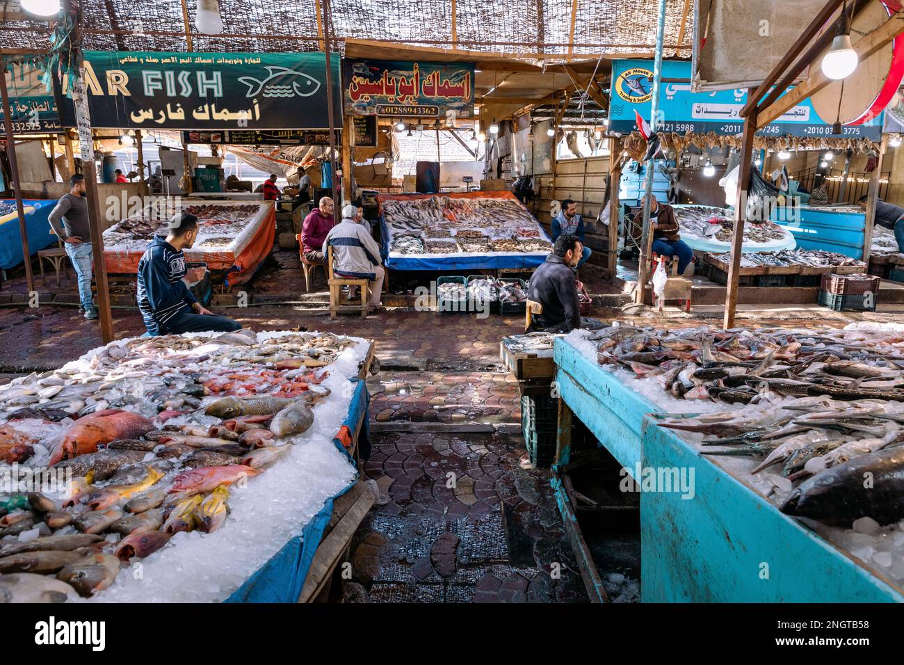 Traditioneller Fischmarkt in Hurgada, Ägypten. Rotes Meer. Stockfoto