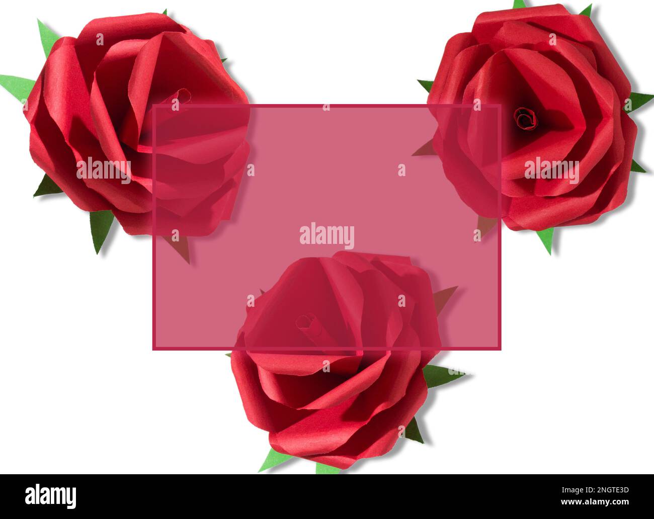 viva transparenter Rahmen in Magenta auf weißem Hintergrund mit roten handgefertigten Rosen, kreatives Weihnachtsdesign Stockfoto