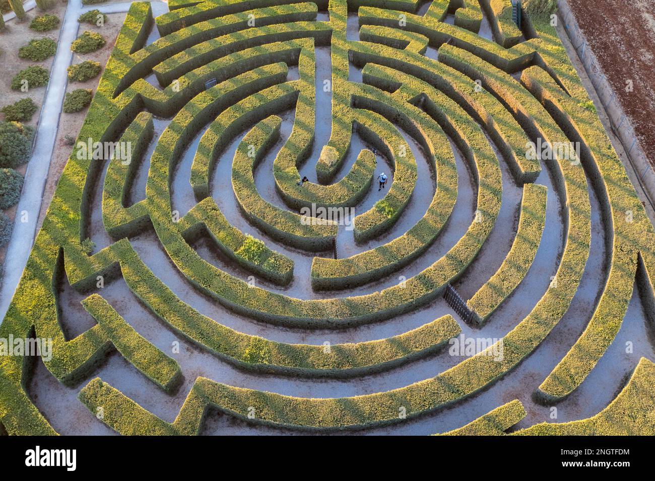 Labyrinth im CyHerbia Botanical Park und Labyrinth in Zypern Inselland Stockfoto