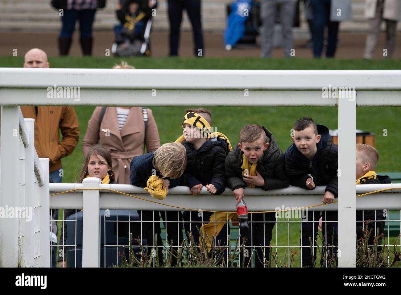 Ascot, Berkshire, Großbritannien. 18. Februar 2023. Rennfahrer genießen ihren Tag mit Pferderennen auf der Pferderennbahn Ascot am Betfair Ascot Chase Raceday. Die Rennfahrer trugen gelbe Betfair Schals, als sie das Rennen an einem kühlen und windigen Tag beobachteten. Kredit: Maureen McLean/Alamy Live News Stockfoto