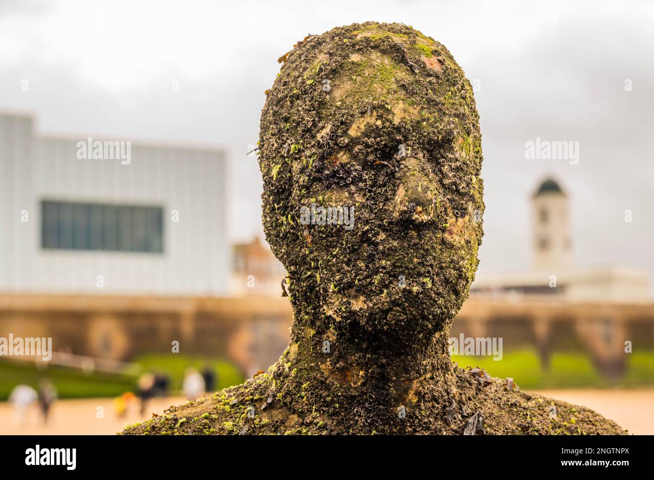 Margate, Großbritannien. 17. Februar 2023 Besucher besuchen Antony Gormley: Ein anderes Mal, am Nayland Rock, neben dem Turner Contemporary, in Margate. Das Werk wird erst enthüllt, wenn die Flut zurückgeht. Es ist eine von hundert soliden gusseisernen Figuren von Antony Gormley, die die Erfahrung des menschlichen Wesens erforschen. Leben an der Margate Küste. Kredit: Guy Bell/Alamy Live News Stockfoto