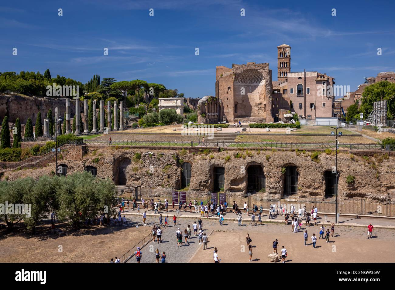 Tempel der Venus und Roms im Forum Romanum. Rom. Italien. Stockfoto