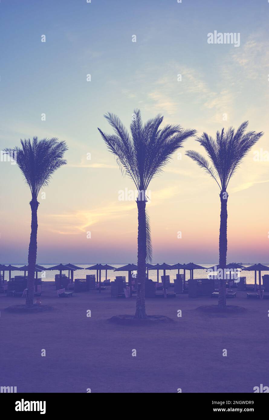 Silhouetten von Palmen an einem tropischen Strand bei Sonnenuntergang, Farbtönung angewendet. Stockfoto