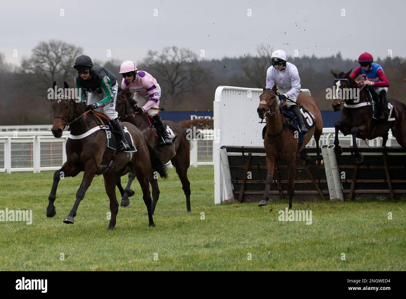 Ascot, Berkshire, Großbritannien. 18. Februar 2023. Horse Springwell Bay (Nr. 5), geritten vom Jockey Jonjo O'Neill, schafft eine Hürde in der ersten Runde der Ascot Racecourse und unterstützt das Hürdenrennen von Anfängern des Poetry Competition Novices' Hurdle Race (Klasse 2) beim Betfair Ascot Chase Raceday. Kredit: Maureen McLean/Alamy Live News Stockfoto