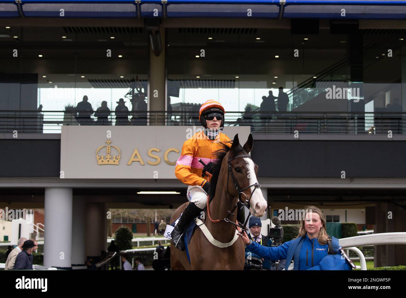 Ascot, Berkshire, Großbritannien. 18. Februar 2023. Jockey Harry Cobden geht auf die Rackstrecke des Pferdes Oscar Elite, bevor er den Bateaux London Reynoldstown Novice' Steeple Chase (Klasse 1) gewann. Kredit: Maureen McLean/Alamy Live News Stockfoto