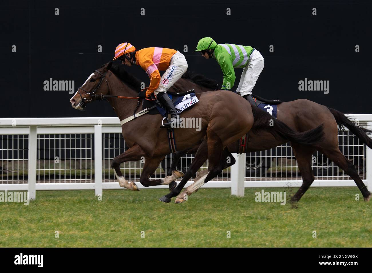 Ascot, Berkshire, Großbritannien. 18. Februar 2023. Jockey Harry Cobden (orangefarbene Seide) auf dem Pferde Oscar Elite, bevor er den Bateaux London Reynoldstown Novice' Steeple Chase (Klasse 1) gewann. Kredit: Maureen McLean/Alamy Live News Stockfoto