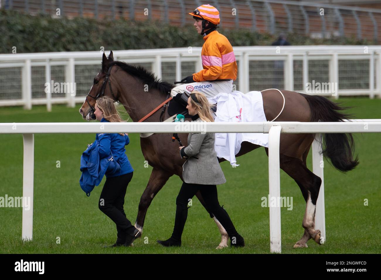 Ascot, Berkshire, Großbritannien. 18. Februar 2023. Jockey Harry Cobden Reitpferd Oscar Elite gewinnt die Kirchturmjagd von Bateaux London Reynoldstown (Klasse 1). Besitzer Mary-Ann Middleton. Trainer Joe Tizzard, Sherbourne. Züchter T McAuliffe. Sponsor Coral Racing Ltd Kredit: Maureen McLean/Alamy Live News Stockfoto