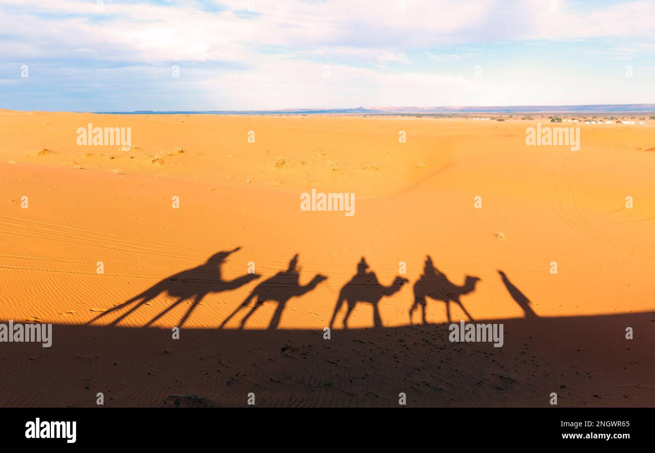 Schatten auf dem Sand in der Sahara-Wüste in Merzouga, Marokko. Kamelkarawane in der Wüste in Afrika. Touristenausflug Kamelritt. Stockfoto