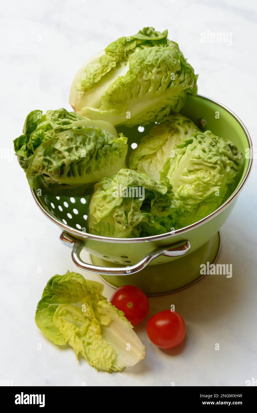 Babysalat in Küchensieb und Tomaten Stockfoto