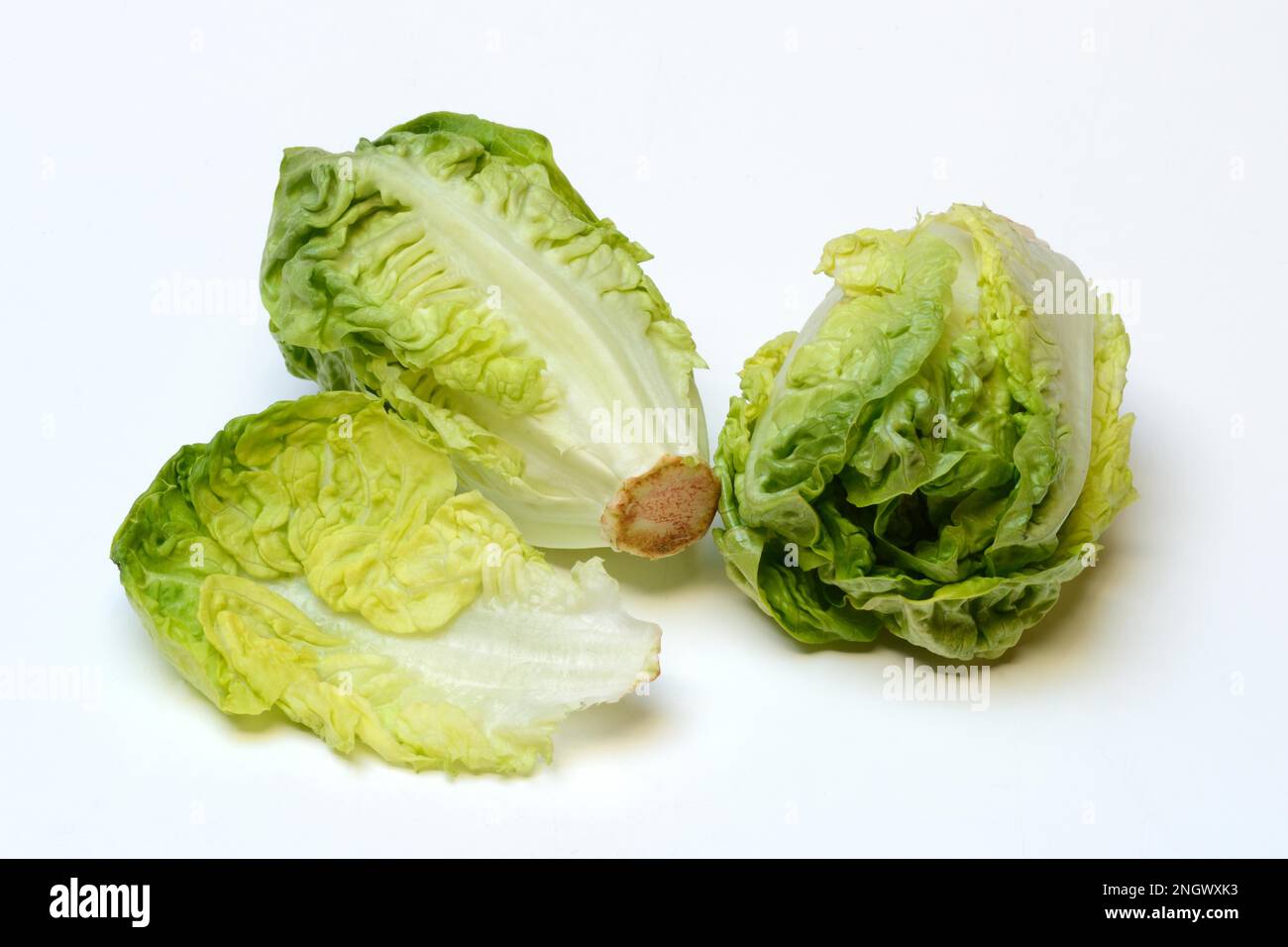 Babysalat, Kopfsalat und Kopfsalat Stockfoto
