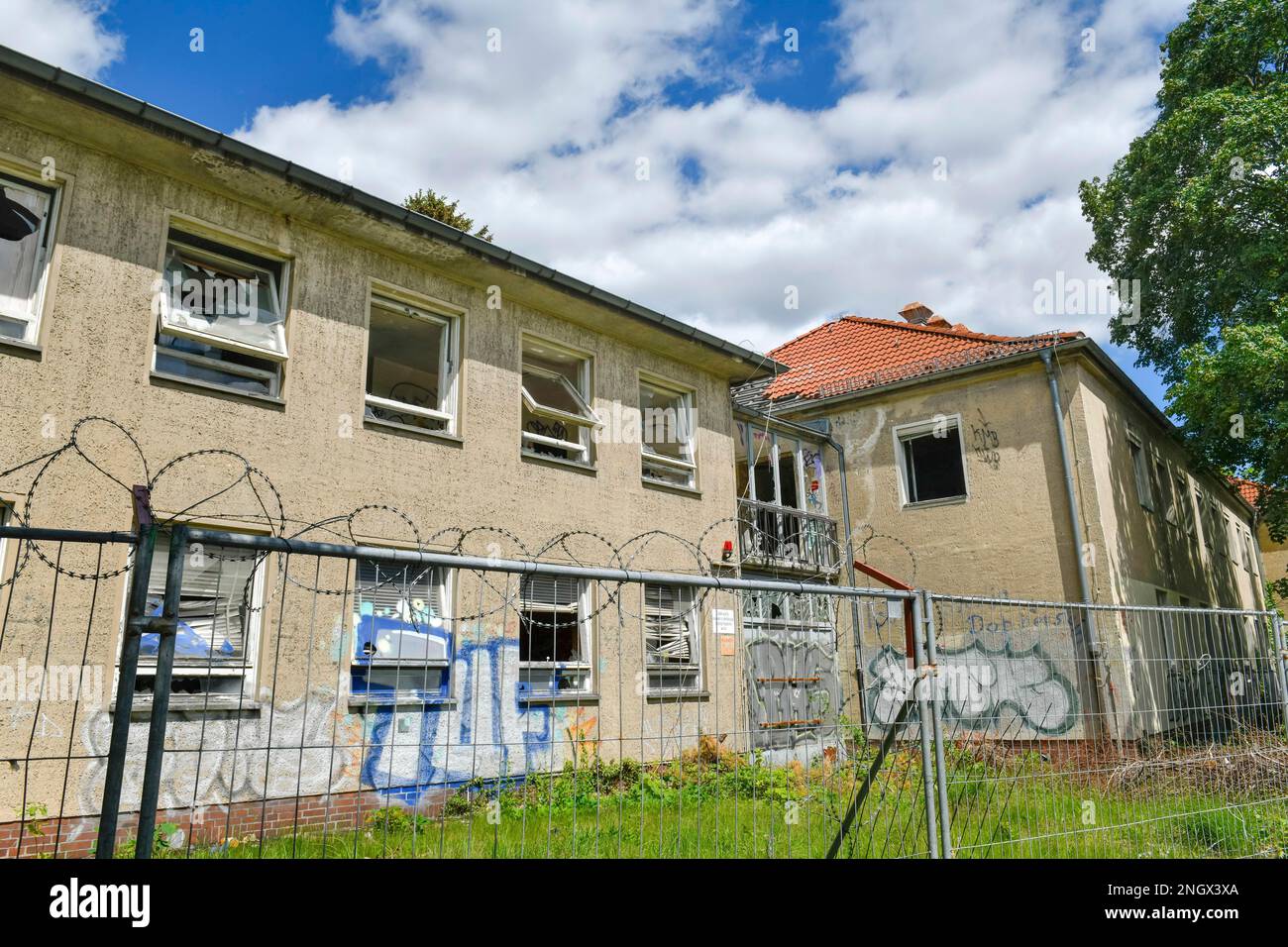 Ehemaliges Institut für Anatomie der Freien Universität Berlin, Koenigin-Luise, Dahlem, Steglitz-Zehlendorf, Berlin, Deutschland, Königin-Luise-Straße Stockfoto