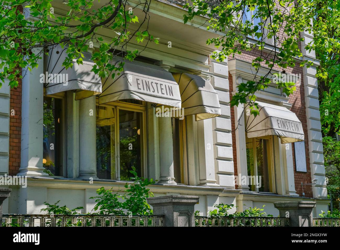 Café Einstein, Kurfürstenstraße, Tiergarten, Mitte, Berlin, Deutschland Stockfoto