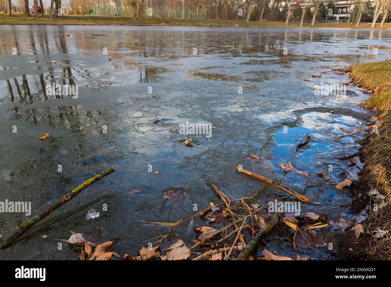 Künstlicher Fischsee im Winter gefroren, Ibolya-to, Sopron, Ungarn Stockfoto