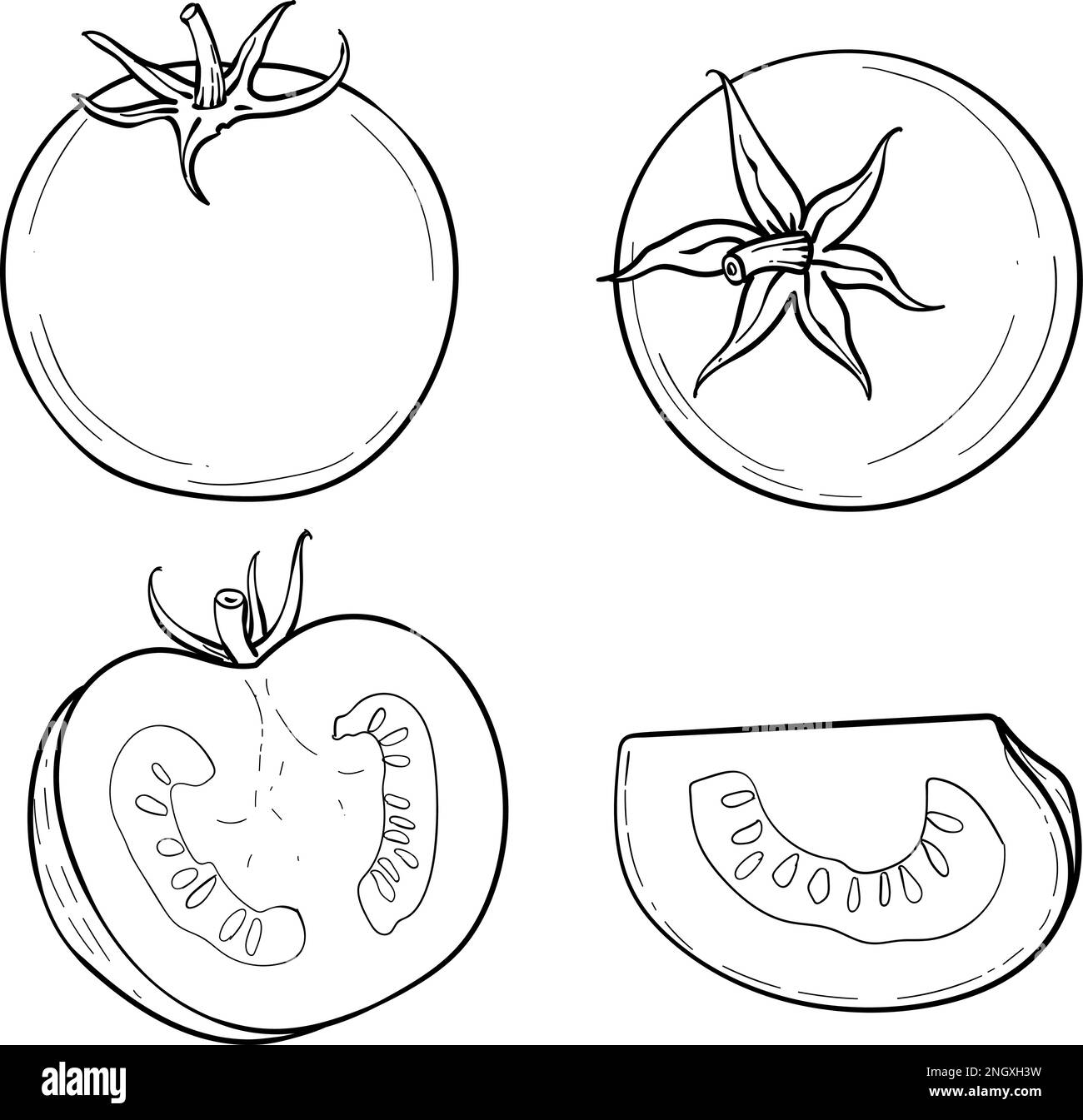 Eine handgezeichnete Tomate. Ein Satz Skizzen mit geschnittenen Tomaten, ein Stück Tomaten. Die Vektordarstellung ist auf weißem Hintergrund isoliert. Stock Vektor