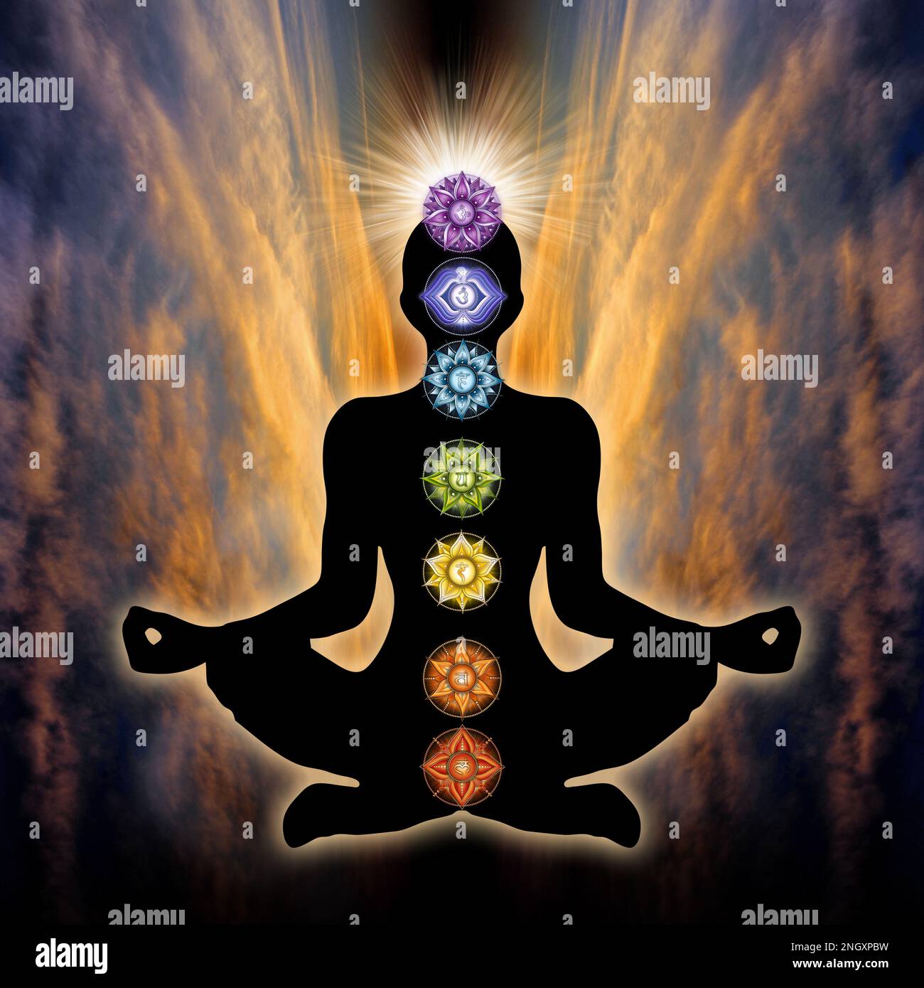 Menschliche Silhouette in Yoga/Lotus-Pose mit 7 Chakras-Symbolen und der Blume des Lebens. (Menschliche Energie Körper, Aura, Yoga Lotus Pose). Stockfoto