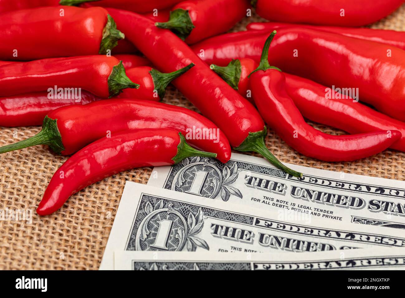 Rote Cayennepaprika und Bargeld. Konzept für die Erzeugung von heißem Pfeffer, frischem und biologischem Gemüse. Stockfoto
