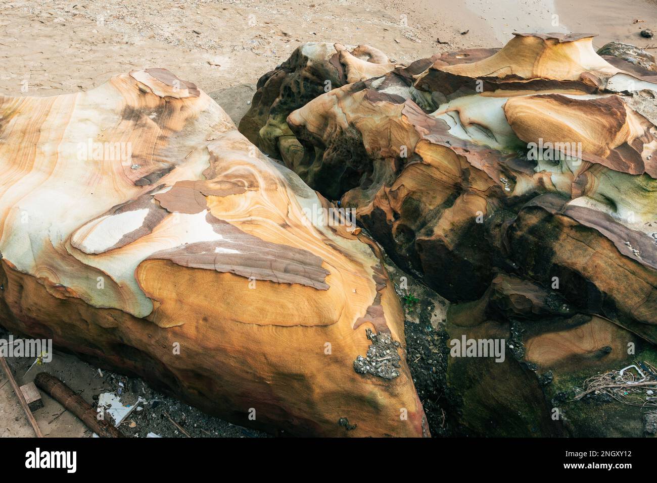 Sandsteine mit holzähnlichen Mustern Stockfoto