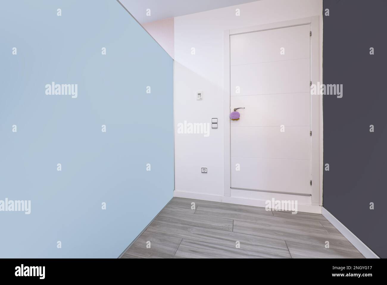 Eingangshalle eines leeren Apartments mit einer hellblauen Wand, einer grauen Wand, einer weißen Holzeingangstür und grauem Holzfußboden Stockfoto