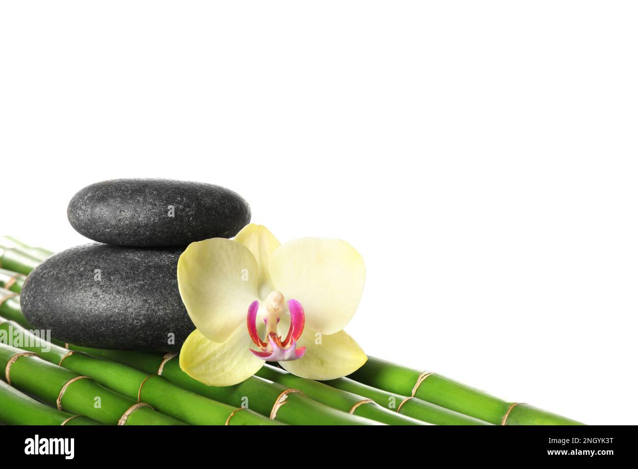 Wellnesssteine und wunderschöne Orchideenblume auf Bambusstämmen vor weißem Hintergrund Stockfoto