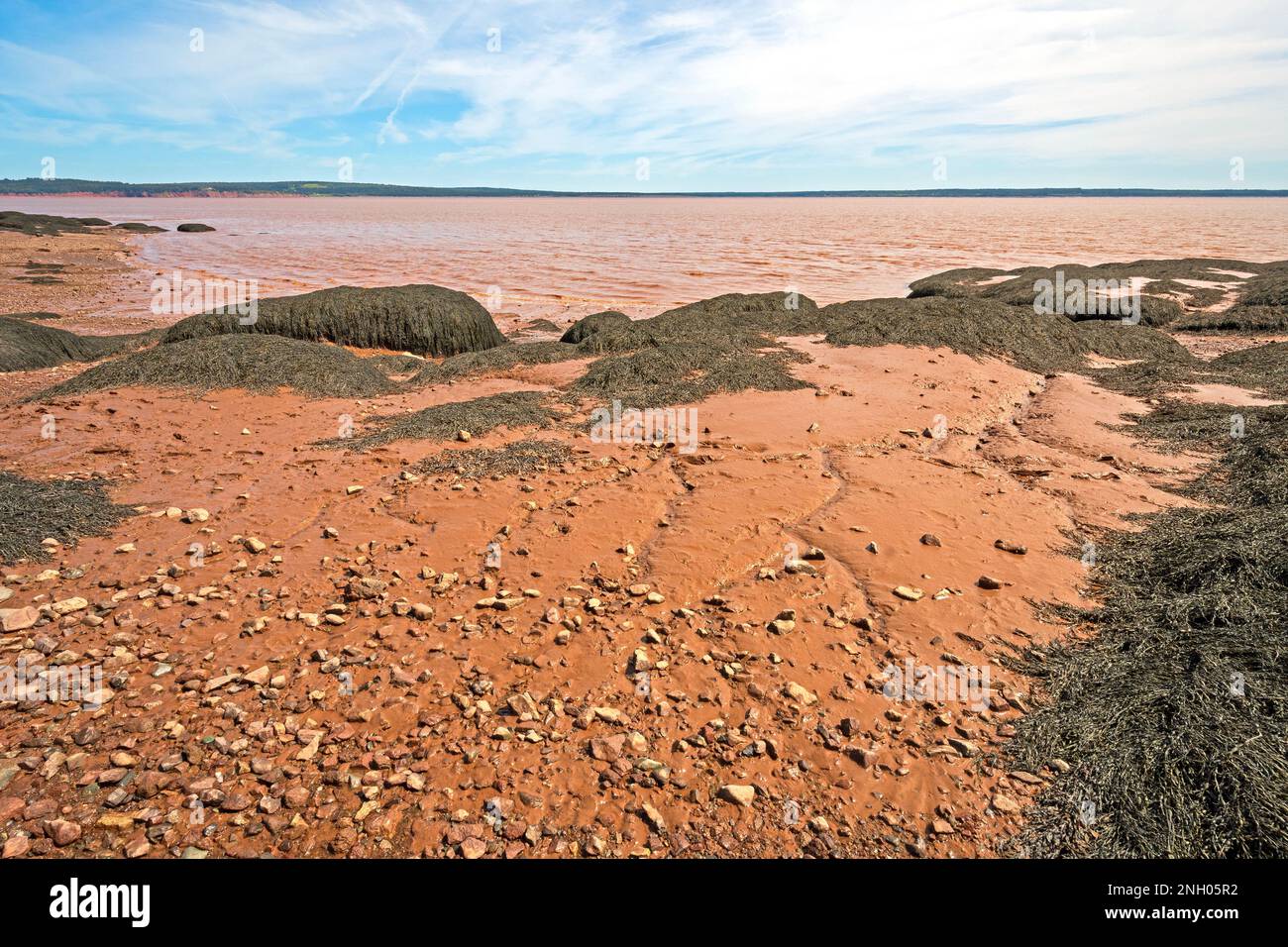 Red Water, Rocks, Schlamm und Algen im Low Tide im Rocks Provincial Park in New Brunswick Stockfoto