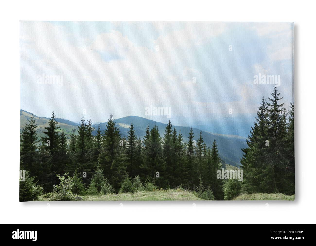 Foto auf Leinwand, weißer Hintergrund. Wunderschöne Landschaft mit Wald- und Berghängen Stockfoto