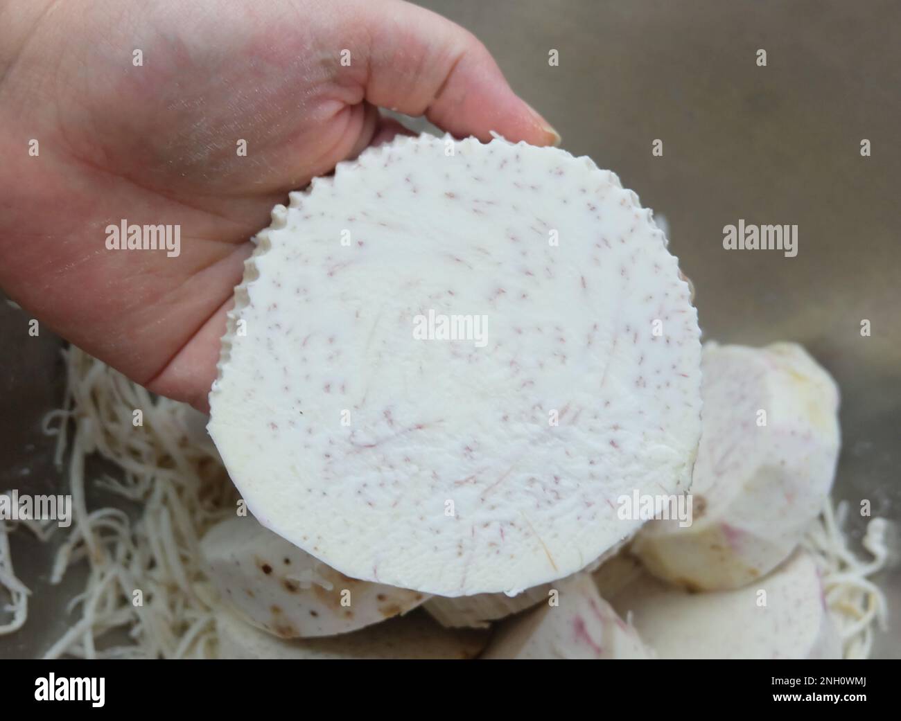 Handhalter mit frisch geschnittenen Taro-Wurzeln, Dasheen, japanischen Kartoffeln, Cocoyam oder Eddo. Stockfoto