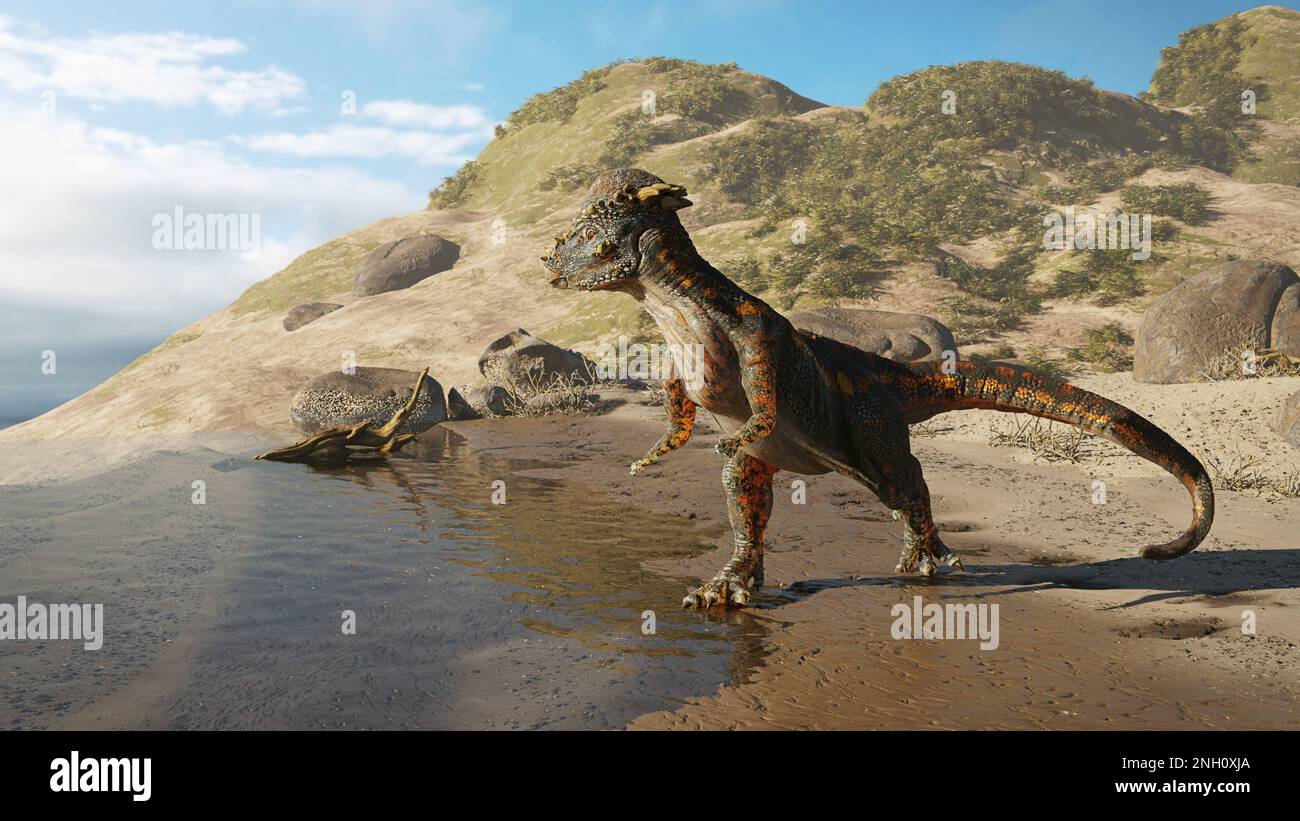 Pachycephalosaurus, Dinosaurier aus der späten Kreidezeit beim Strandspaziergang Stockfoto