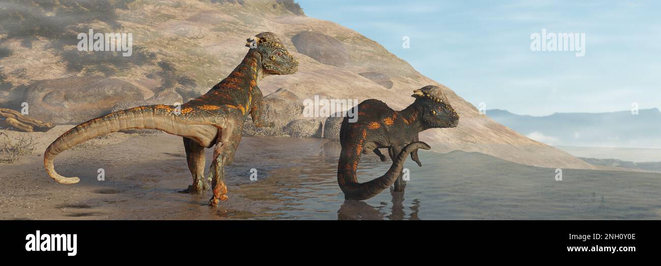 Pachycephalosaurus, Dinosaurierpaar aus der späten Kreidezeit, das am Strand spazieren ging Stockfoto