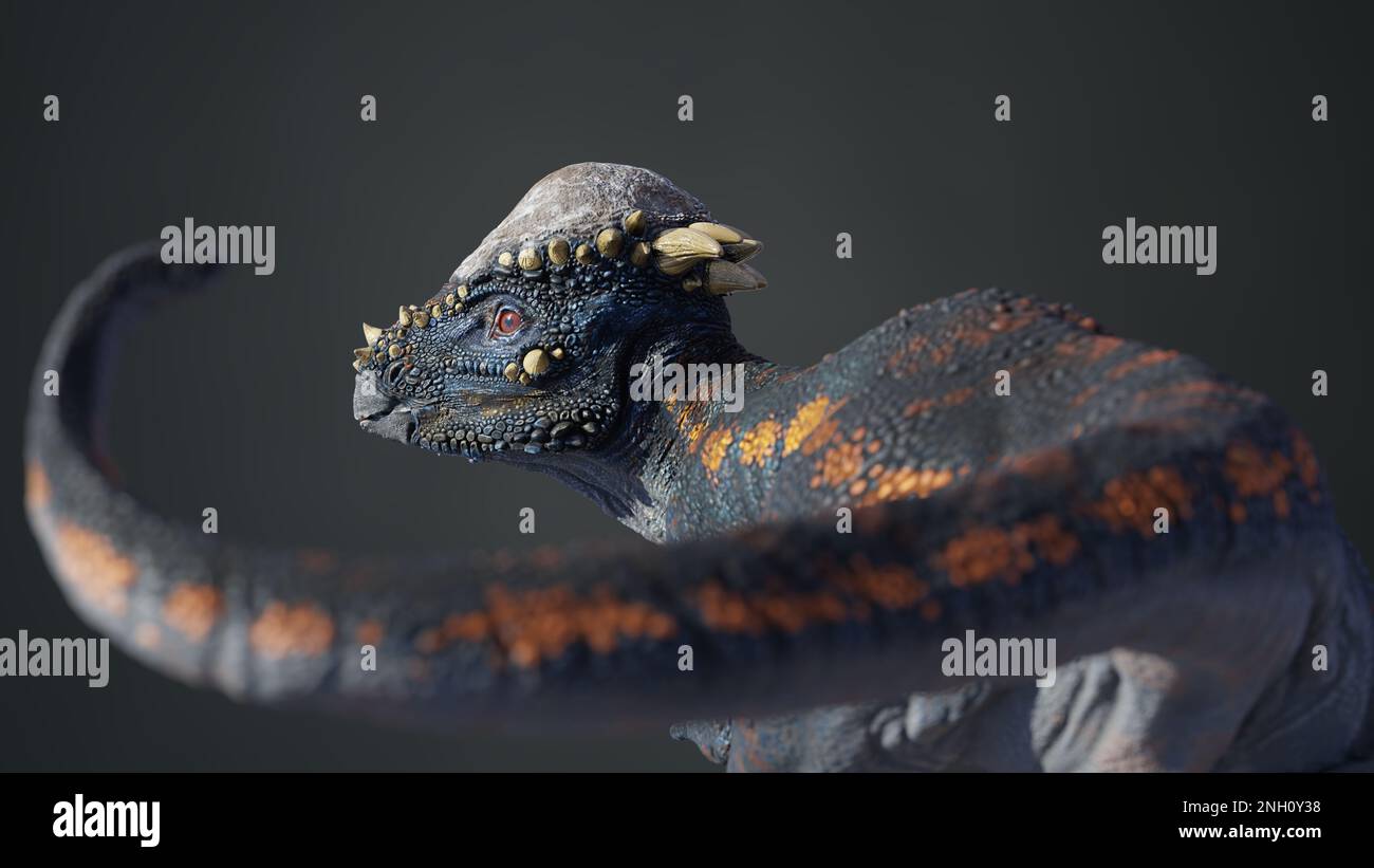 Pachycephalosaurus, Dinosaurierporträt, zweipedale Pflanzenfresser mit einem dicken Schädeldach aus der späten Kreidezeit Stockfoto