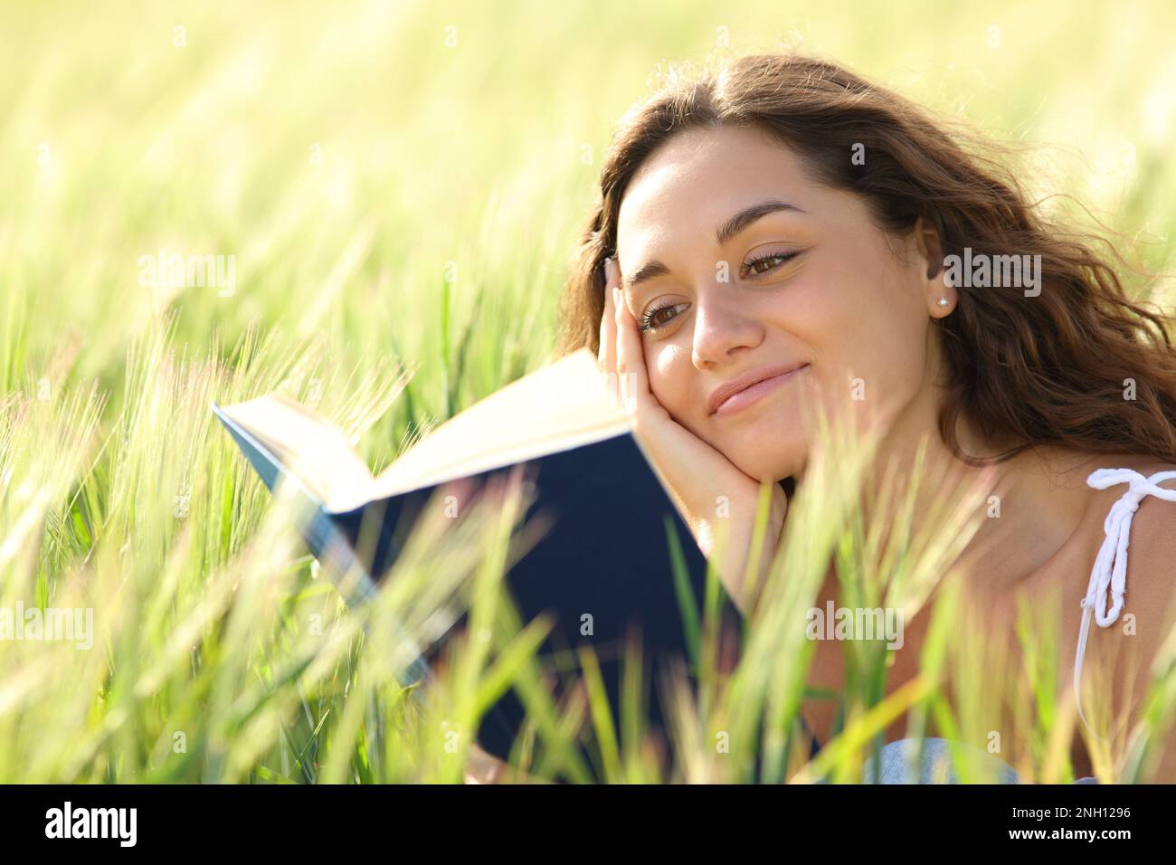 Glückliche Frau, die zwischen Weizen und sonnigen Tagen ein Buch liest Stockfoto