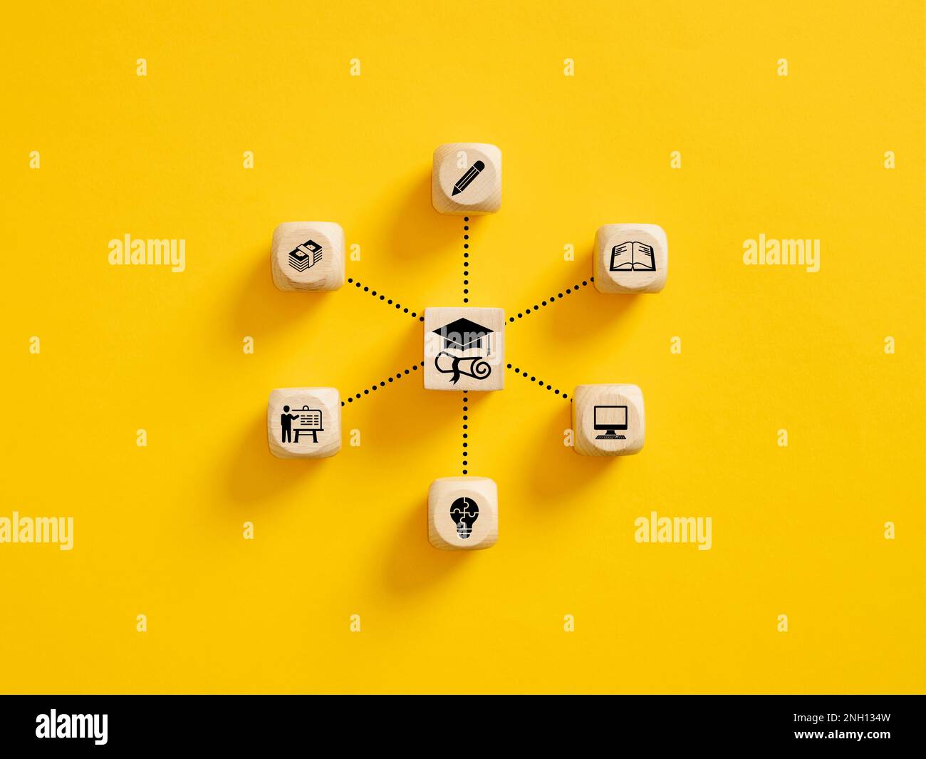 Erfolg und notwendige Fertigkeiten im Abschluss oder in der Ausbildung. Wissen und Lehren. Holzwürfel mit Graduierung und Bildungs-Symbolen, die mit jedem o verbunden sind Stockfoto