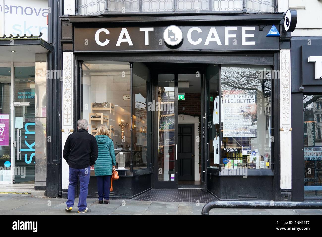 Cat Cafe. Bold Street. Liverpool Stockfoto