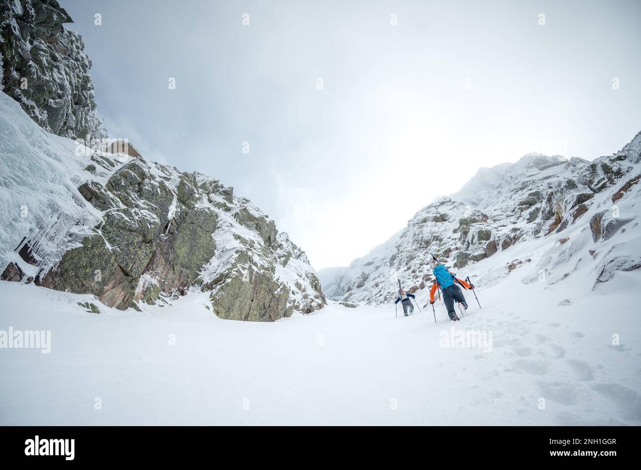 Skifahrer fahren in schneebedeckten Schluchten, während sie im Hinterland Ski fahren Stockfoto