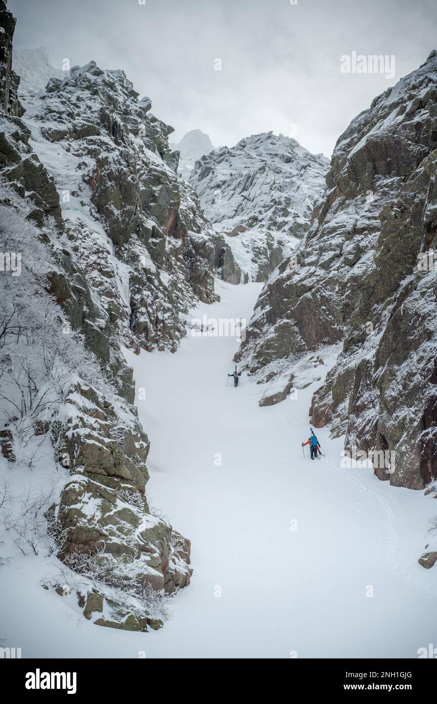 Skifahrer fahren in schneebedeckten Schluchten, während sie im Hinterland Ski fahren Stockfoto