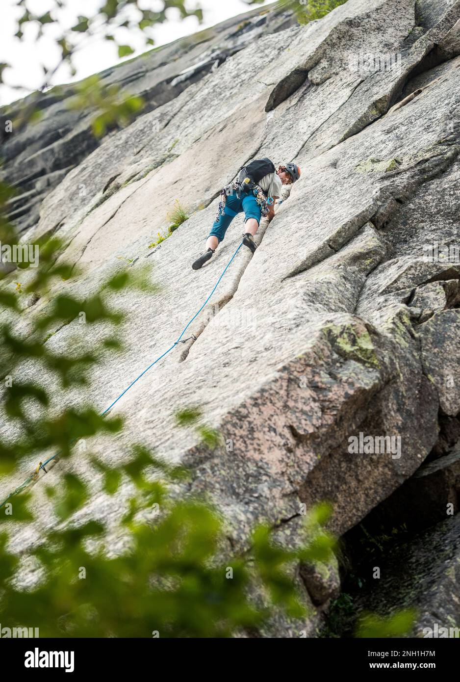 Ein Mann klettert auf eine Felswand mit Blättern im Vordergrund Stockfoto