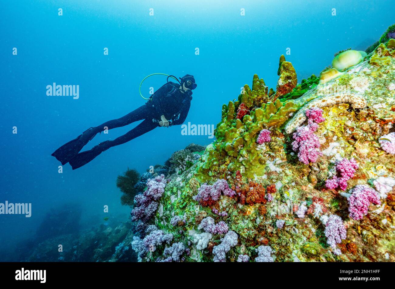 taucher erkunden das klare Wasser der Andamanensee/Thailand Stockfoto