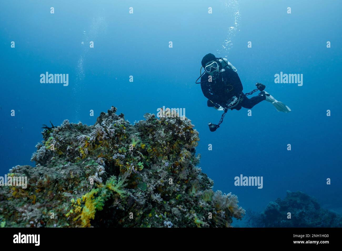 taucher erkunden das klare Wasser der Andamanensee/Thailand Stockfoto