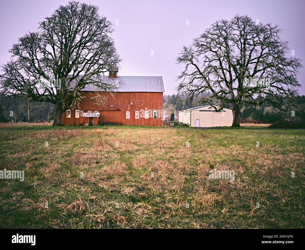 Rote Scheune und Gebäude auf einer Farm auf einem Feld mit zwei Bäumen Stockfoto