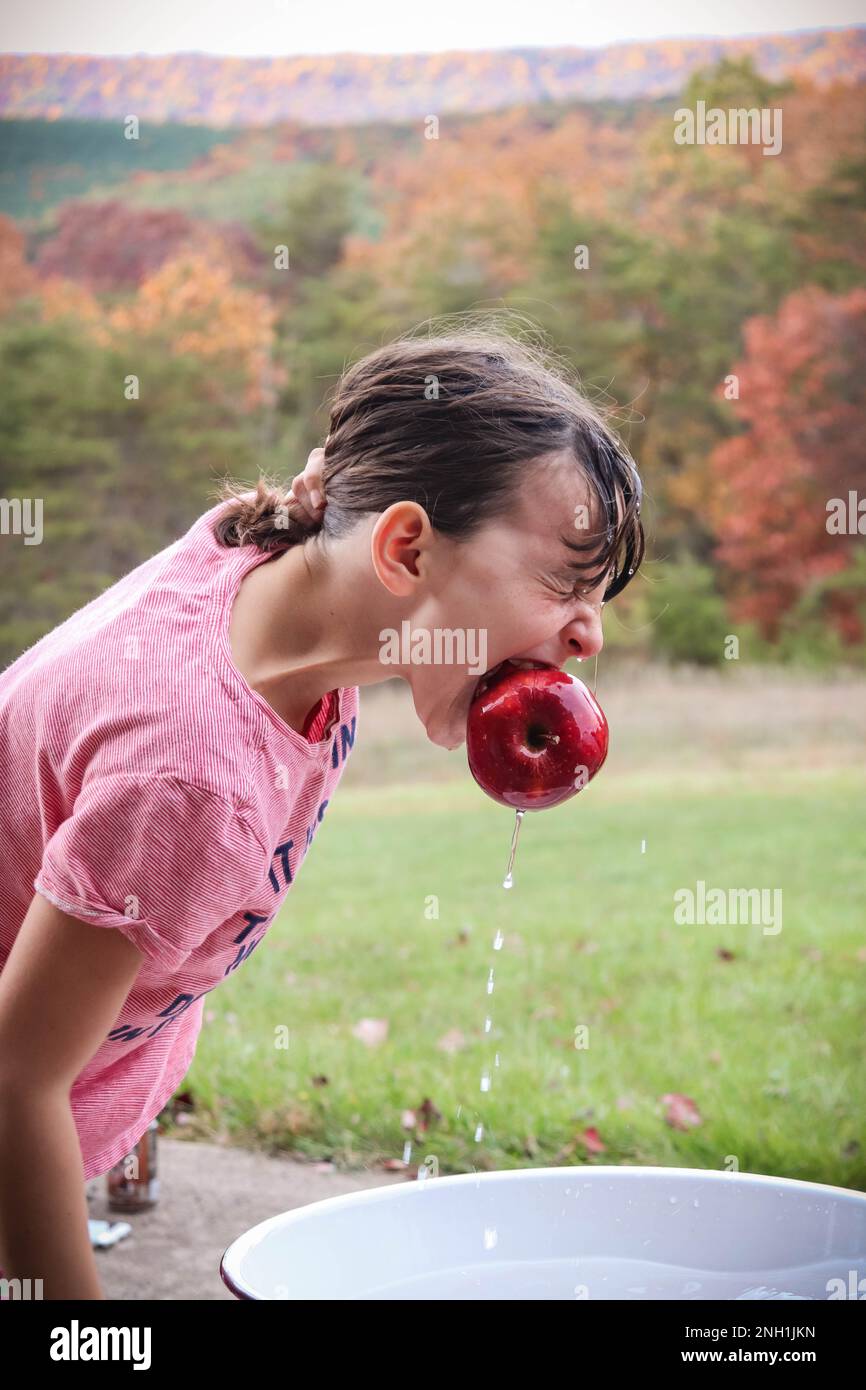 Junges Mädchen, das sich im Herbst um Äpfel bemüht Stockfoto