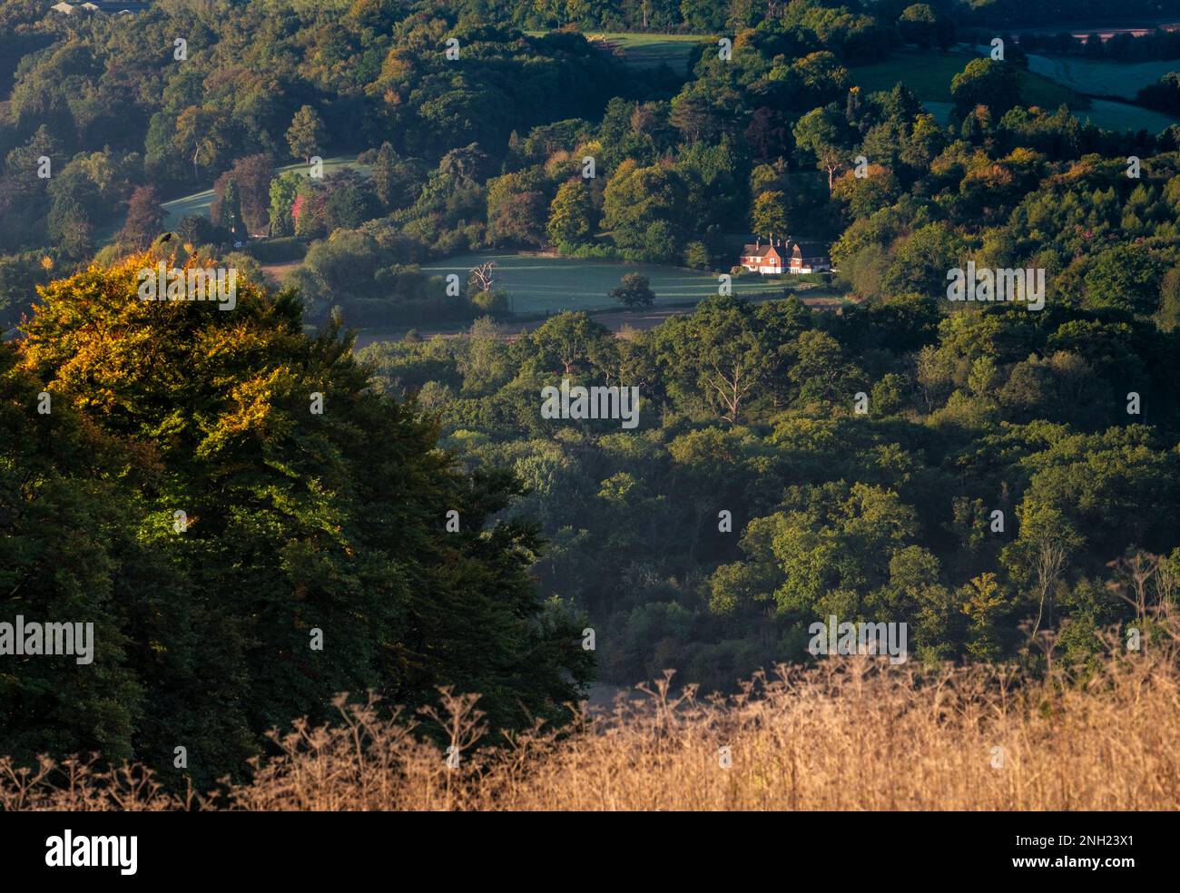 Großes abgelegenes Haus in der Landschaft von Surrey in der Nähe von Dorking. Aufgenommen in Dawn Stockfoto