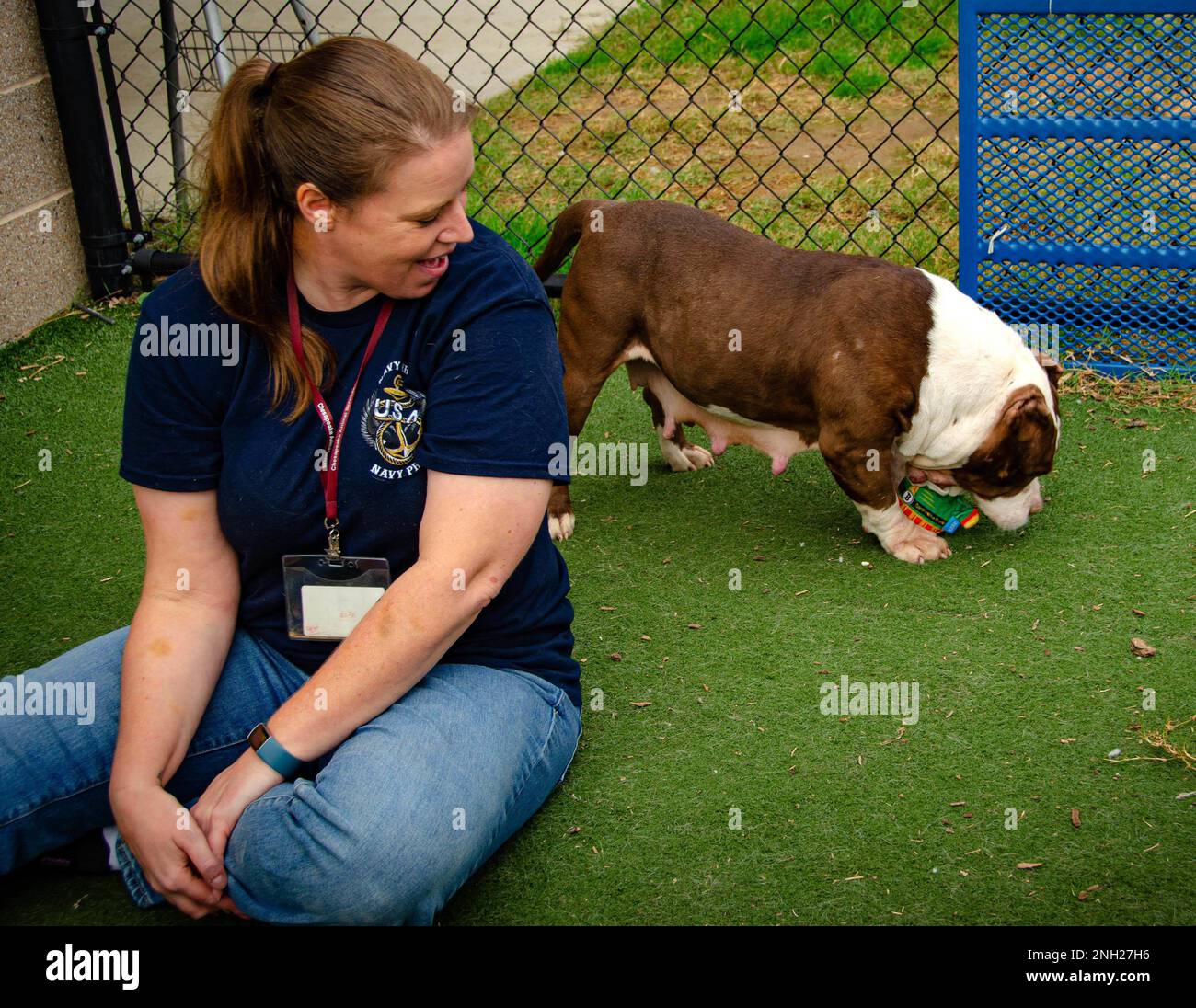 221207-N-XG502-1112 -- Master Chief Cryptological Technician (Interpretive) Kasey Gallardo, der der Naval Information Forces zugeteilt ist, genießt ein paar Momente mit Cheeto, einem amerikanischen Stafford Terrier, die selbst gerne an einem Hundekauspielzeug kaut, während einer freiwilligen Veranstaltung in Chesapeake, Virginia Animal Services Dez. 8. Stockfoto