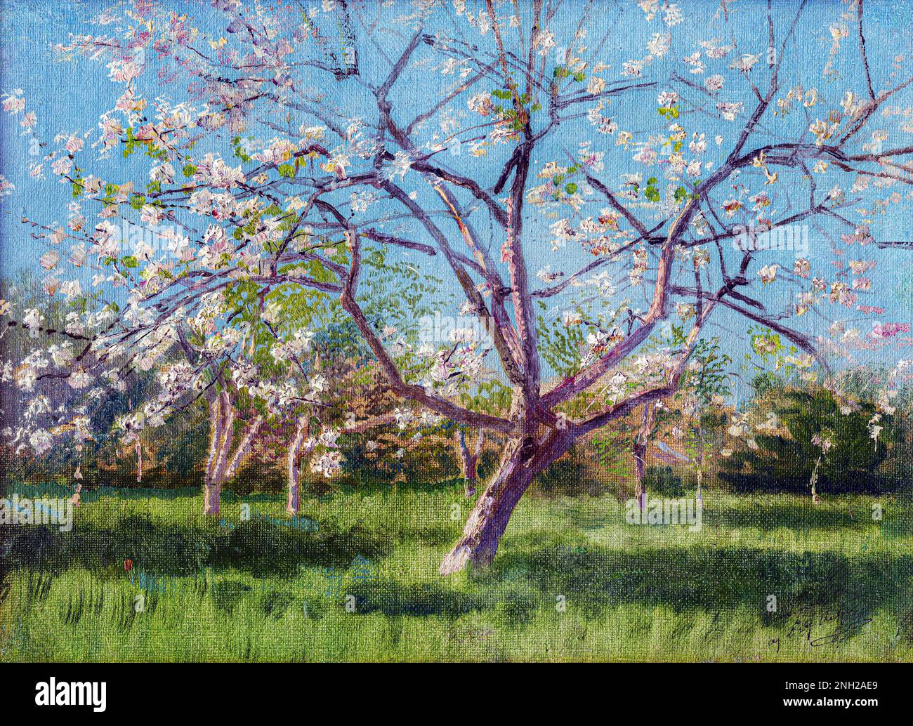 Studie über blühende Bäume in einem Obstgarten von László Mednyánszky Mehr: Original gemeinfreies Bild aus Web Umenia Stockfoto