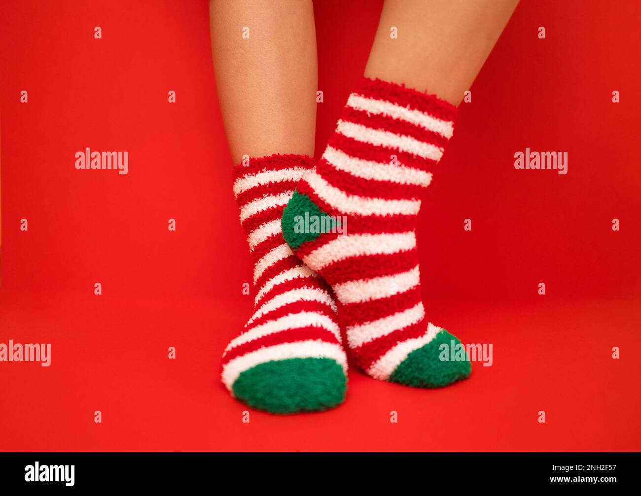 Frauenfüße in flauschigen Silvester- oder Weihnachtssocken. Die Farben der Socken sind rot-weiße Streifen und grüne Absätze und Spitzen. Mädchen Beine auf einem RE Stockfoto